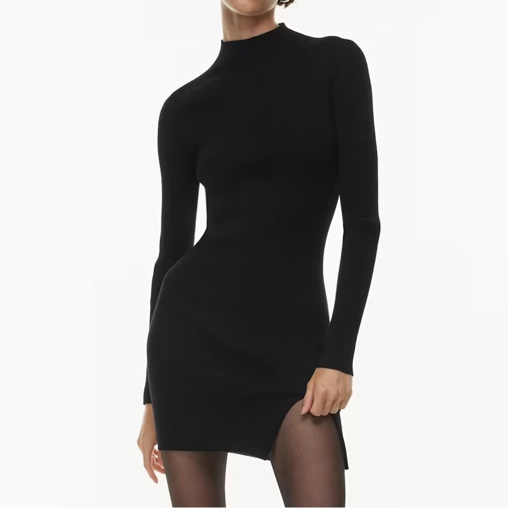 Aritizia Wilfred Alchemy Mini Dress
